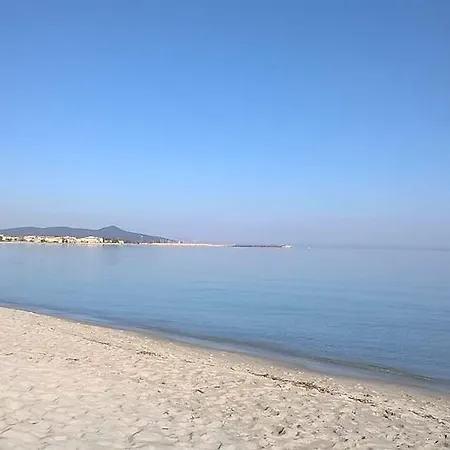Armonie
